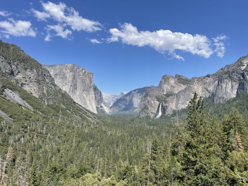 Yosemite, Giant Sequoias, Private Tour From San Francisco - Exclusive Landmarks and Views