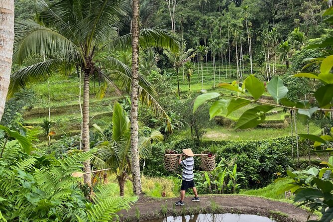 Your Balinese Journey, Crafted by Budi - Budis Recommended Local Gems