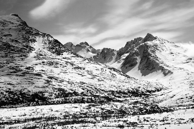 Yukon Suspension Bridge and Summit Tour - Scenic Beauty and Sightseeing Highlights