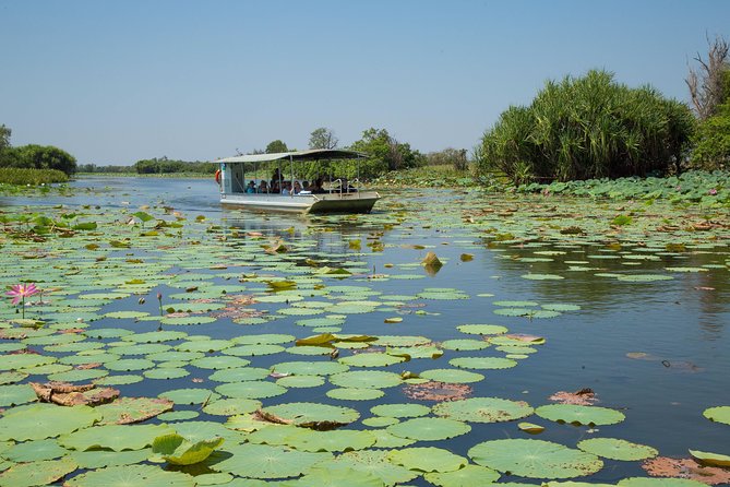 1 Day Corroboree Billabong Wetland Experience Including 2.5 Hour Cruise Lunch - Nature and Wildlife Exploration Details