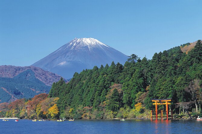 1 Day Private Tour in Mt.Fuji and Hakone English Speaking Driver - Booking Information