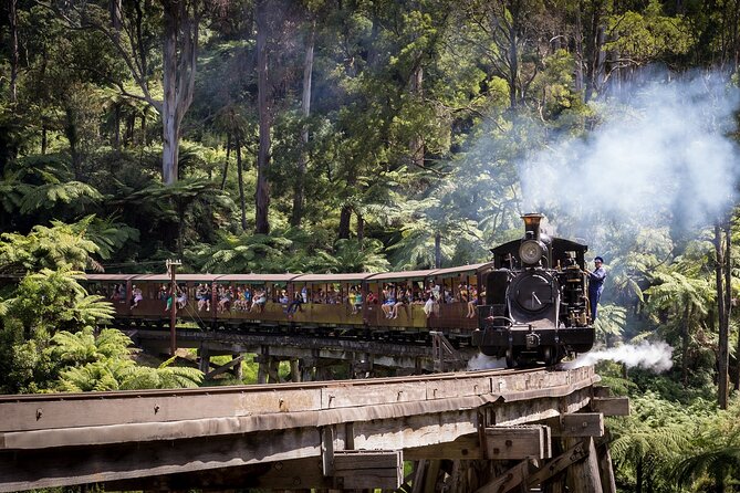 1 Day Puffing Billy Steam Train and Wildlife Tour From Melbourne - Reviews and Traveler Feedback