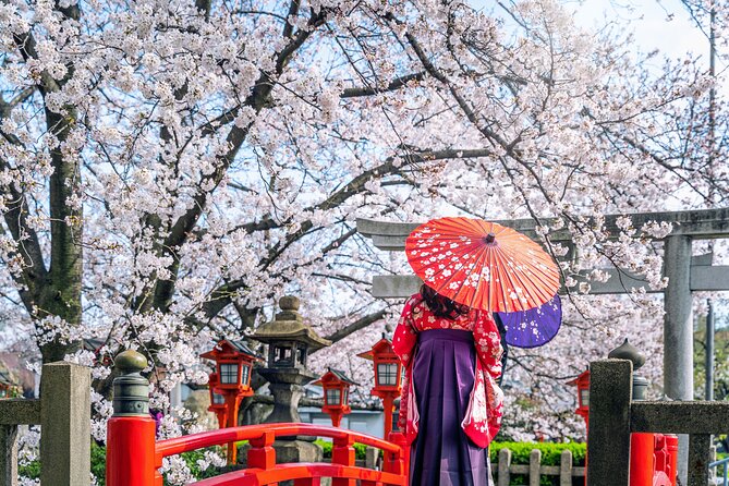 1-Full Day Private Experience of Culture and History of Kyoto for 1 Day Visitors - Reviews and Ratings