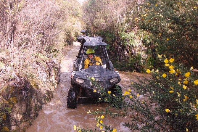 1 Hour Enchanted Forest Track - BUGGIES - Meeting and Pickup