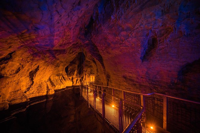 1-Hour Guided Tour of Aranui Cave Waitomo - Accessibility and Traveler Requirements