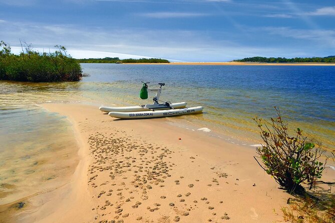 1 Hour Self Guided Water Bike Tour of the Noosa River - Meeting Point and Cancellation Policy