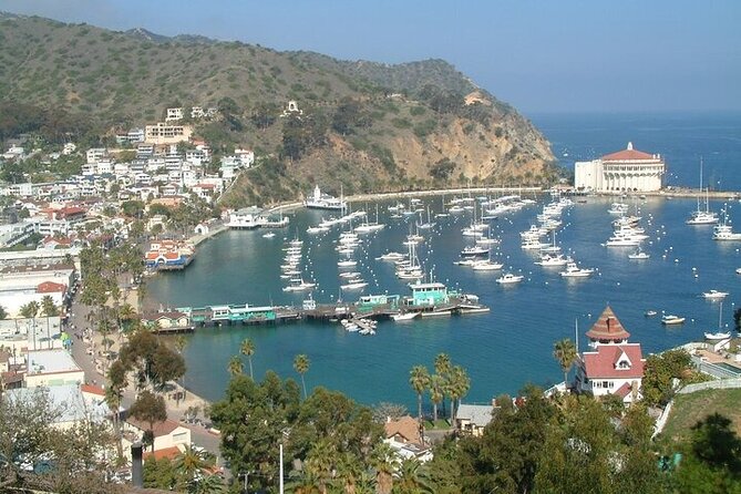 15 Minute Semi-Submarine Tour of Catalina Island From Avalon - Top Deck Enjoyment