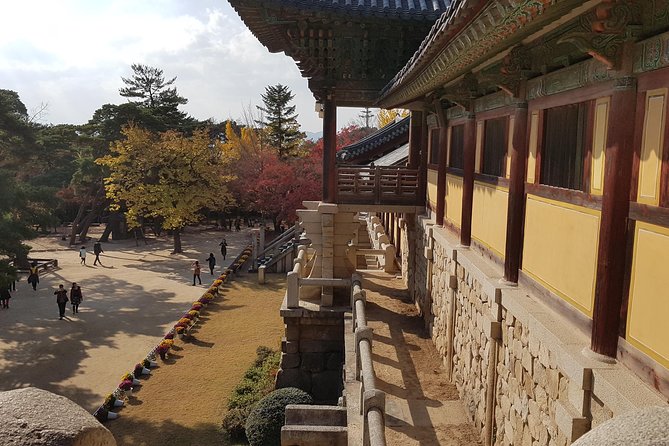 1Day Gyeongju City Tour From BUSAN - UNESCO World Heritage Site - Cultural Experiences Included