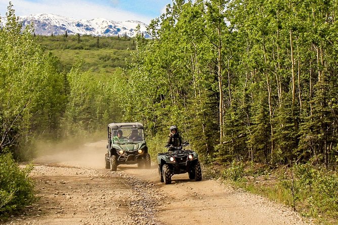 2.5-Hour Denali Wilderness ATV Adventure Tour - Customer Experience