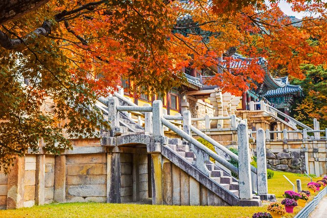 2-Day Rail Tour to Gyeongju and Busan From Seoul - Cancellation Policy Overview