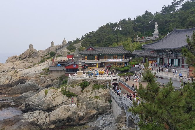 2-Days Busan Customized and Included Night Tour - Cancellation Policy Details