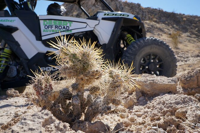 2 Hour Las Vegas Desert Off Road Adventure - Tour Highlights & Staff
