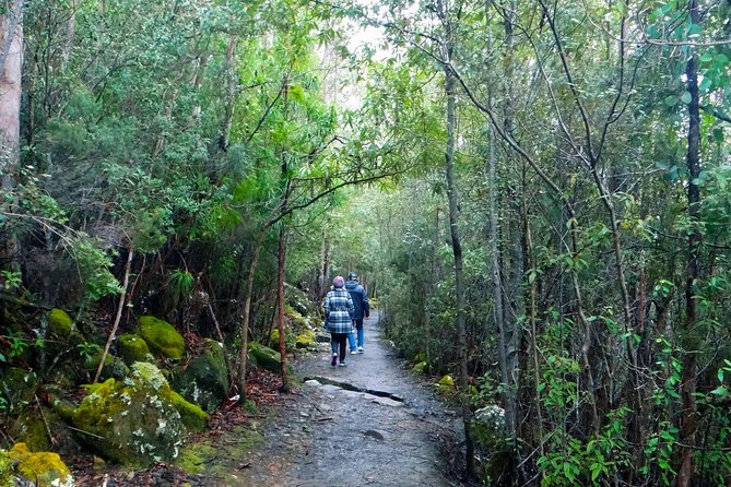 2-Hour Return Kunanyi/Mt Wellington Explorer Bus - Tour Guide Insights and Views