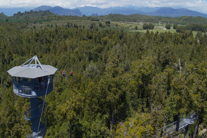 2-Hour Tower Zipline and Walkway Combo Private Guided Activity - Cancellation Policy