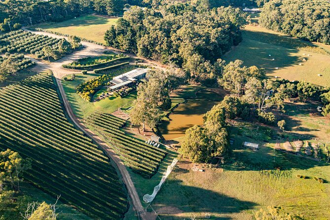 2 Hours Farming Activity in Mornington-Flinders With Lunch - Cancellation Policy Details