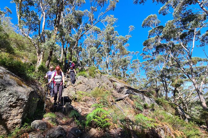 3-Day Coastal Natural Wonders and Hiking Tour in Albany - Tour Booking Information