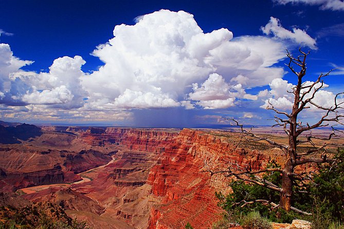 3 Hour Back-Road Safari to Grand Canyon With Entrance Gate By-Pass at 9:30 Am - Sum Up