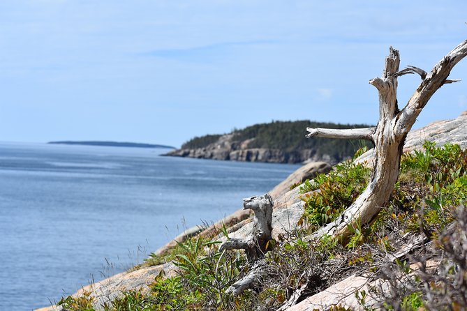 3 Hour Private Tour: Explore All the Top Spots of Acadia! - Sum Up