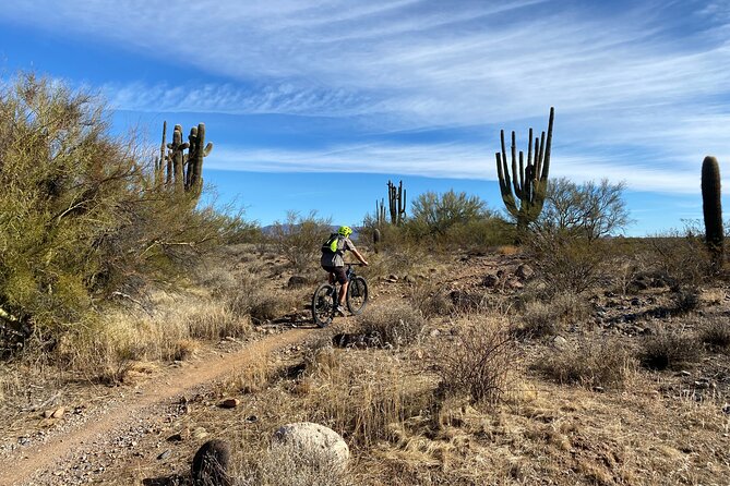 3 Hour Sonoran Desert Private Guided Mountain Bike Tour - Common questions