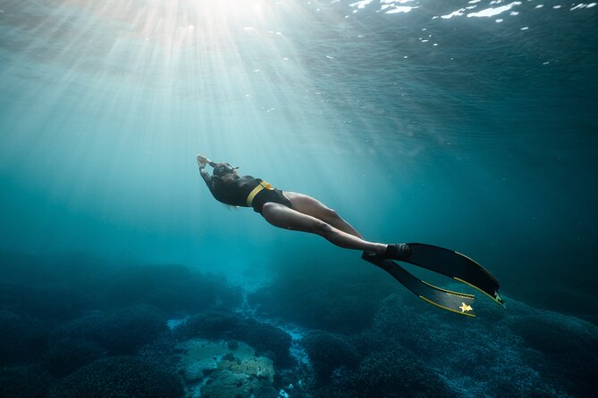 4-Hour Freediving Taster Experience at Shelly Beach, Manly - Cancellation Policy Information