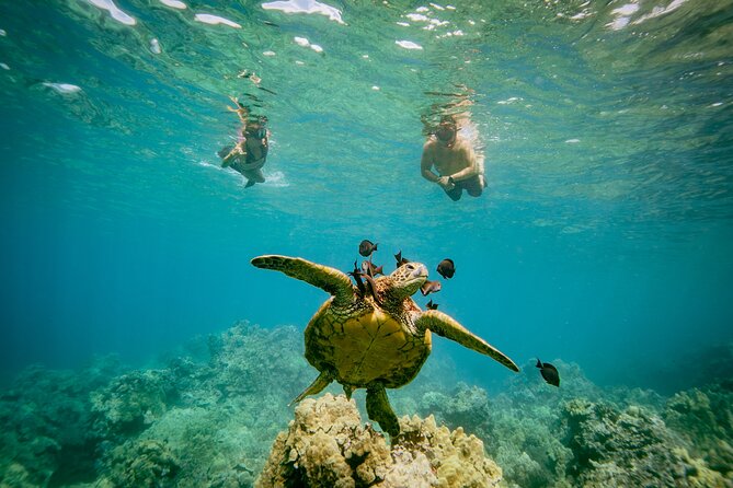4-Hour Molokini Crater Plus Turtle Town Snorkeling Experience - Cancellation Policy