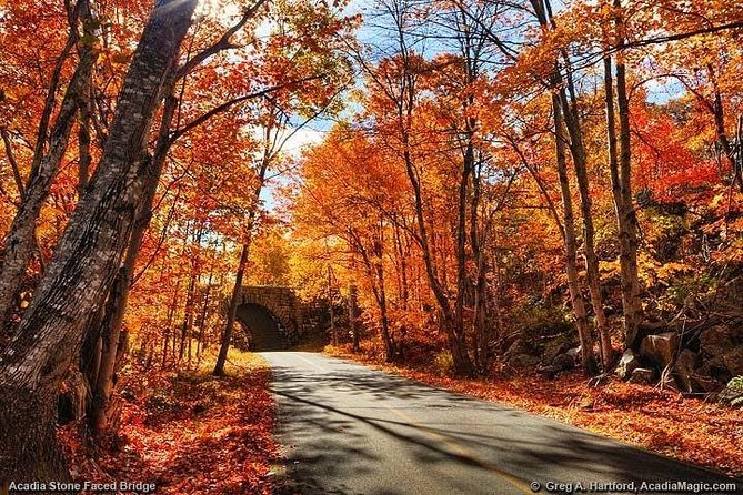 4 Hour Private Tour: Explore Acadia Natl Park, Fjord & Mansions - Customer Satisfaction Insights