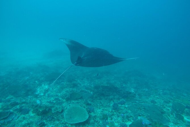 4 Spots Snorkeling Tour With Manta Rays in Nusa Penida - Equipment Provided