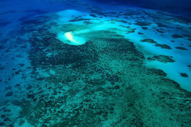 40-Minute Great Barrier Reef Scenic Flight From Cairns - Customer Support Resources