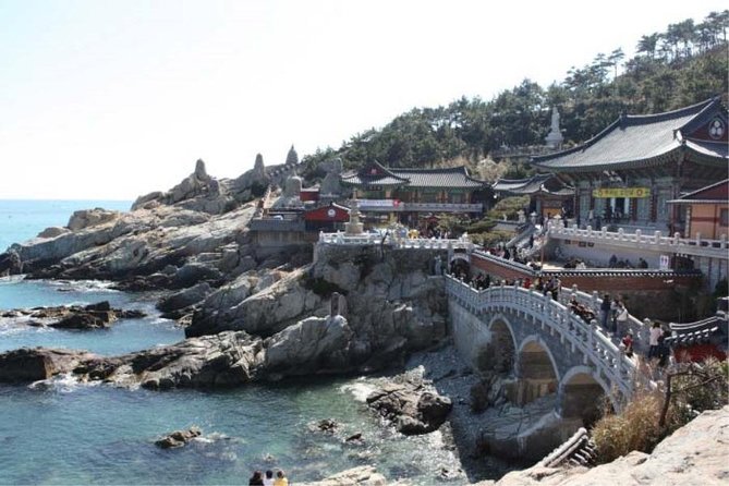 4Day Private Tour From Busan to Seoul, Gyeongju, Tongyeong, Oedo-Botania Island - Oedo-Botania Island Experience