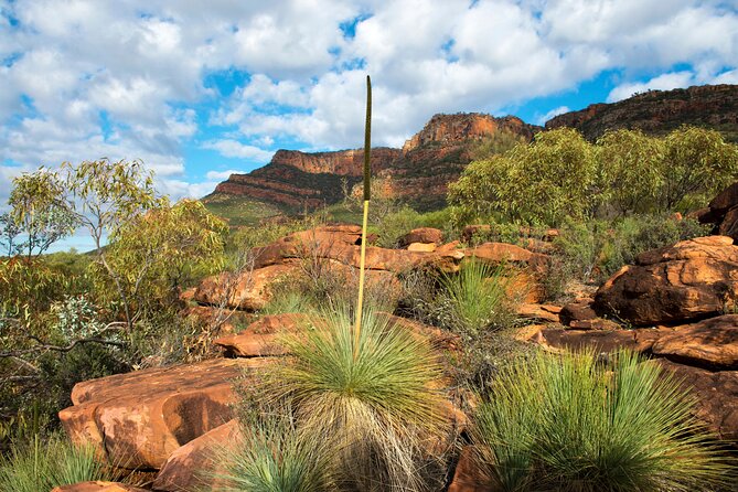 6-Day Eyre Peninsula & Flinders Ranges Adventure Tour - Important Reminders