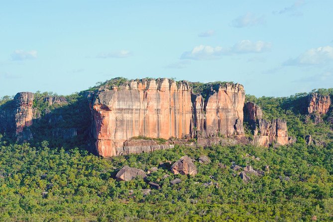 60 Minute Scenic Flight From Cooinda - Accessibility Details