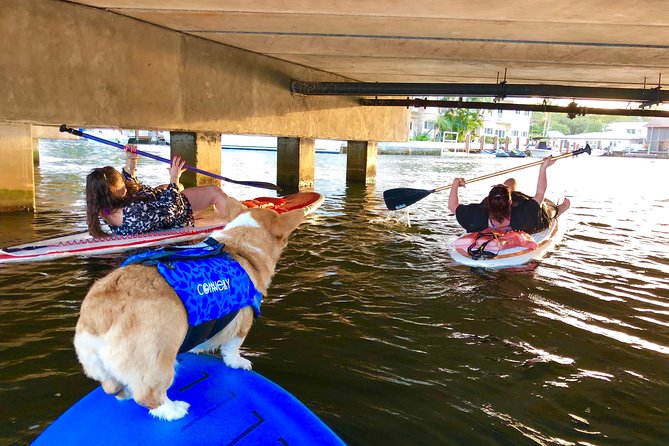 90-Minute SUP Tour of Las Olas Canals With a Doggy Guide  - Fort Lauderdale - Booking Information