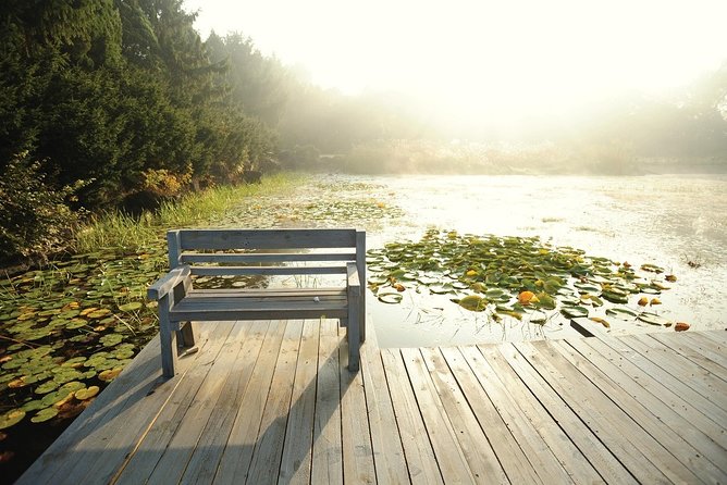 A Healing Course to Enjoy the Beauty of Nature - Nature Walks and Reflection Time