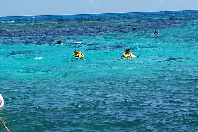 A Unique Private Snorkel Tour of Key Largo - Logistics and Services