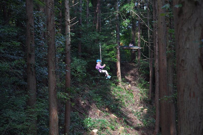 Aerial Athletics (Zipline Adventure) - Contact and Support