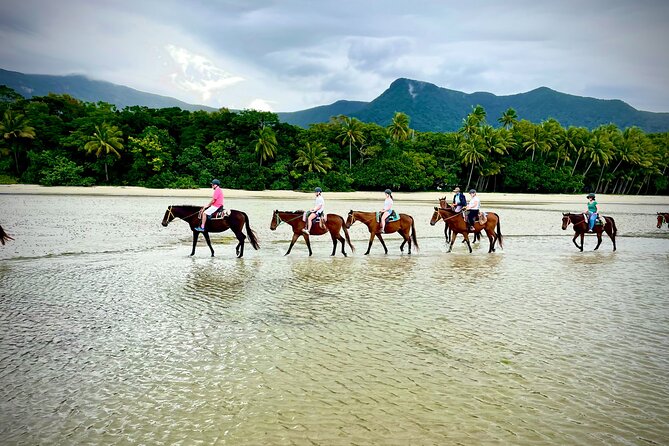 Afternoon Beach Horse Ride in Cape Tribulation - Additional Pickup Information