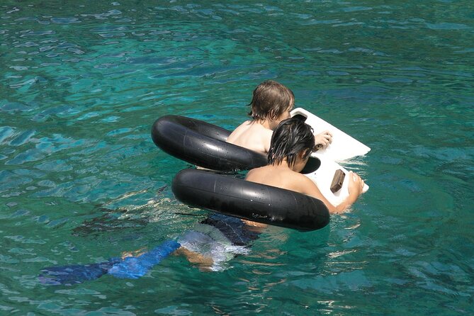 Afternoon Kealakekua Snorkel Tour - About the Tour Company