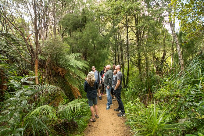 Afternoon Piha Beach and Rainforest Tour From Auckland - Customer Reviews and Testimonials