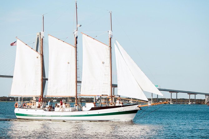 Afternoon Schooner Sightseeing Dolphin Cruise on Charleston Harbor - Experience Highlights