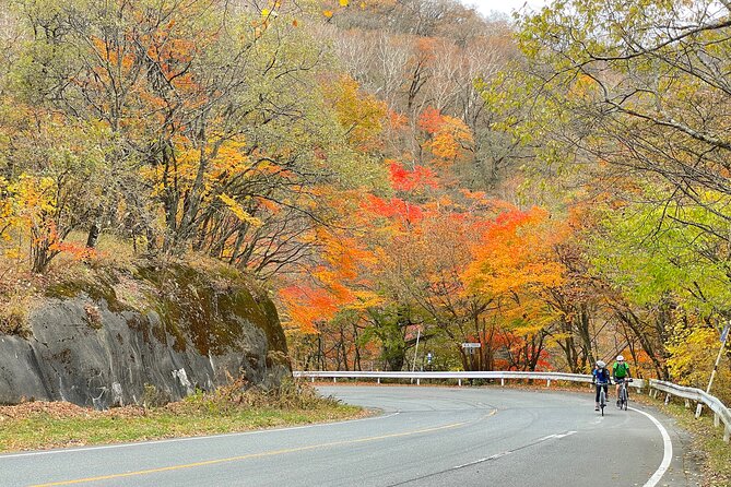 Akagi Mountain E-Bike Hill Climbing Tour - Safety Measures