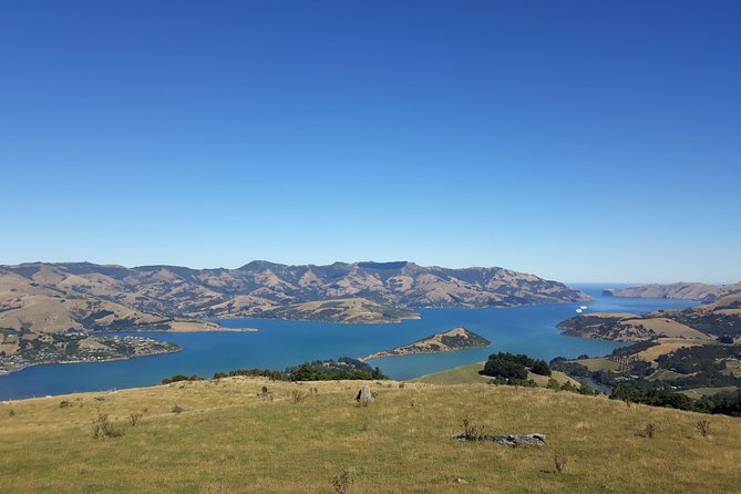 Akaroa Shore Excursion: Banks Peninsula, Christchurch City Tour and Sheep Farm Tour - Highlights and Experiences