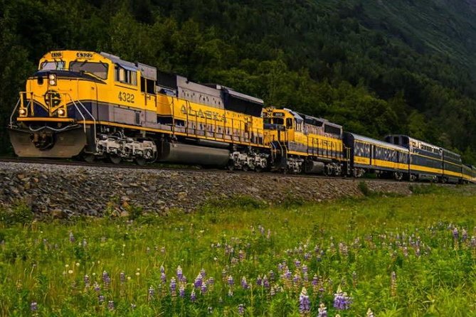 Alaska Railroad Anchorage to Seward Round-Trip Same Day Return - Overall Experience