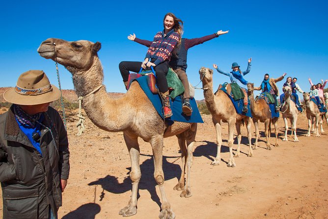 Alice Springs Camel Tour - Reviews and Host Responses