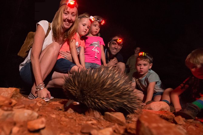 Alice Springs Desert Park Nocturnal Tour - Directions