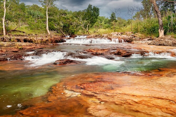 All-Day Tour of Litchfield National Park  - Darwin - Trip Highlights