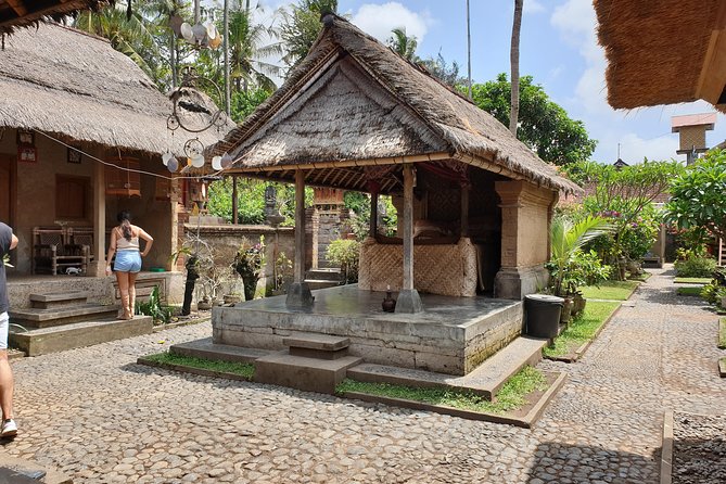 All Inclusive Ubud Private Tour - Tour Itinerary and Highlights