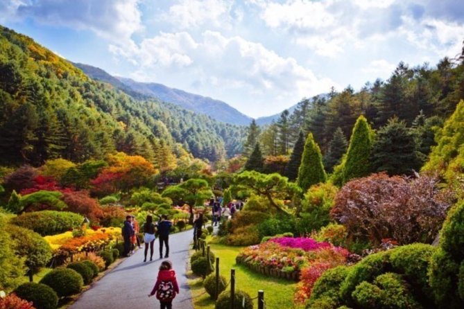 Alpaca World & Nami Island & Garden of Morning Calm One Day Tour - Lowest Price Guarantee