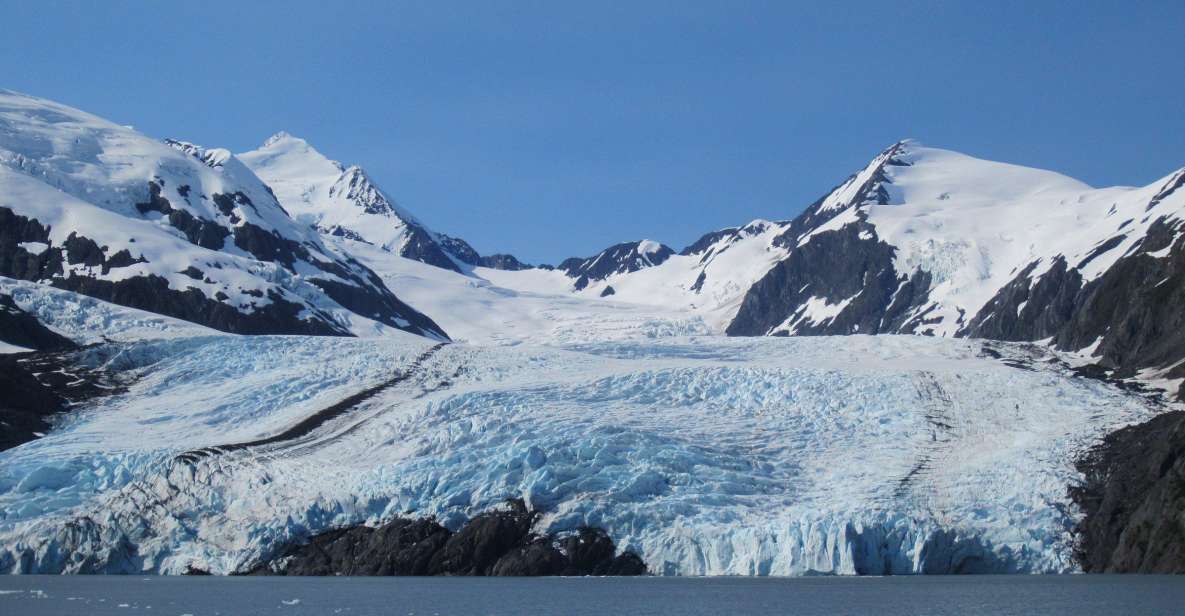 Anchorage: Glacier and Wildlife Explorer Cruise - Highlights