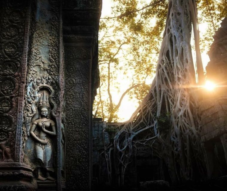 Angkor Sunrise Temple Tour With Angkor Wat, Bayon & Ta Prohm - Review Summary