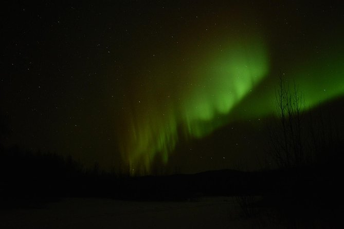 Arctic Circle and Northern Lights Tour From Fairbanks - Guide and Services Quality